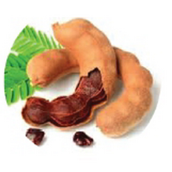 TAMARIND