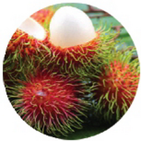 Rambutan
