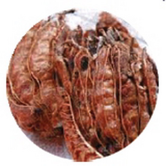 Tamarind (without seed)